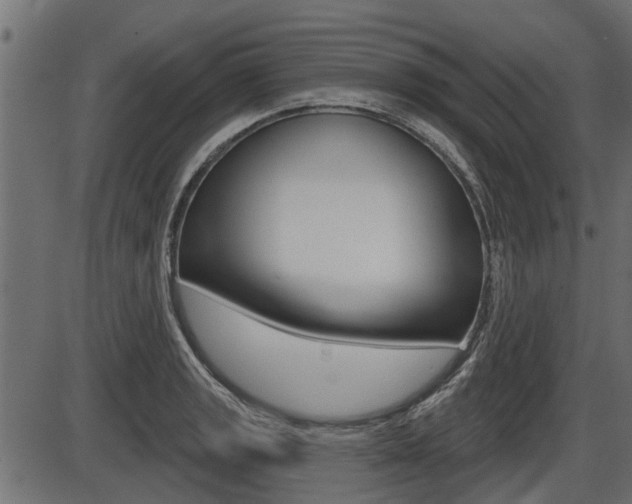 X0000086781133200704130822