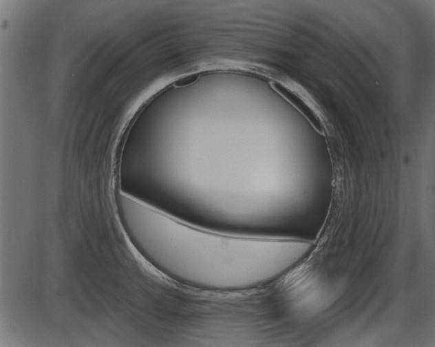 X0000086781143200704130822