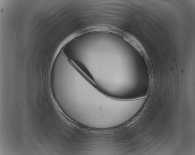 X0000086781146200704130822