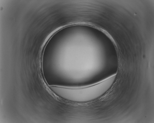 X0000086781148200704130822