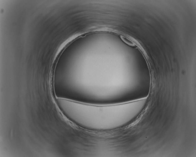 X0000086781149200704130822