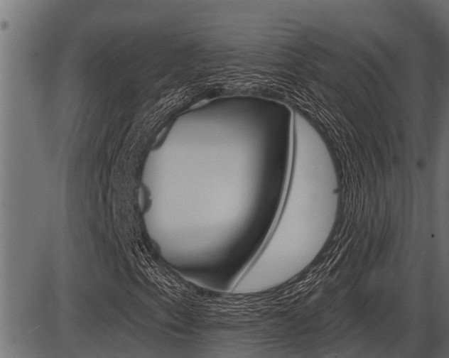 X0000086781153200704130821