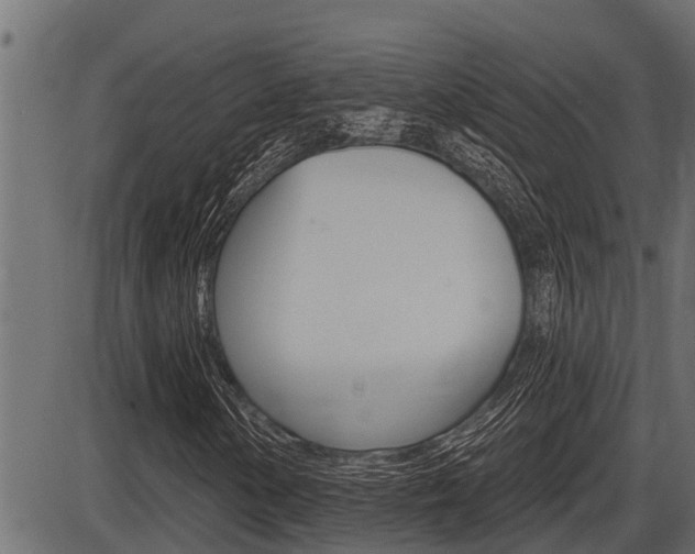 X0000086781154200704130821