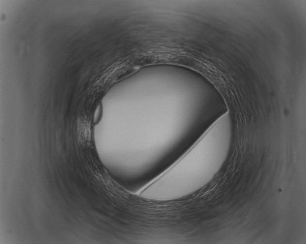 X0000086781155200704130821