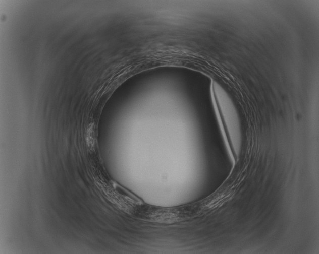 X0000086781156200704130821