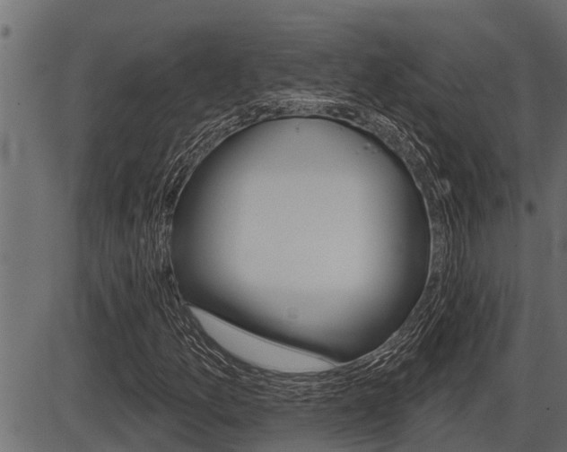 X0000086781157200704130821