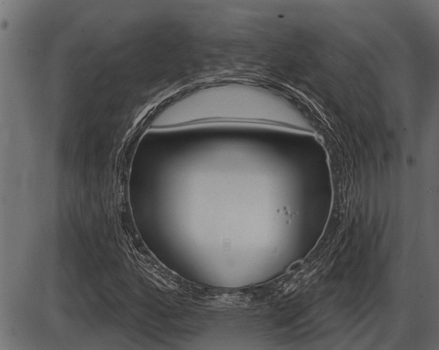X0000086781160200704130821
