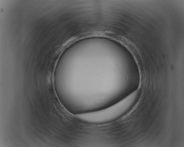X0000086781161200704130821