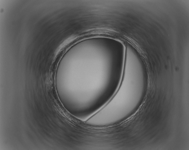 X0000086781164200704130821
