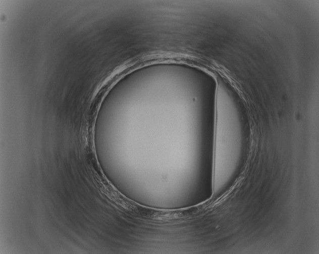 X0000086781165200704130821