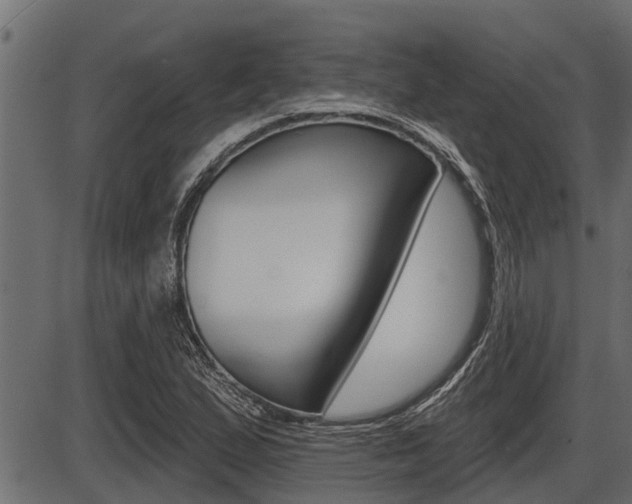 X0000086781167200704130821