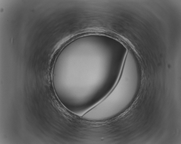 X0000086781168200704130821