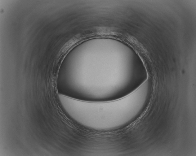 X0000086781169200704130821
