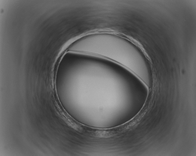 X0000086781176200704130821