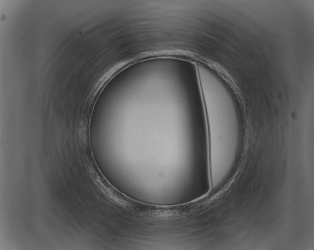 X0000086781177200704130821