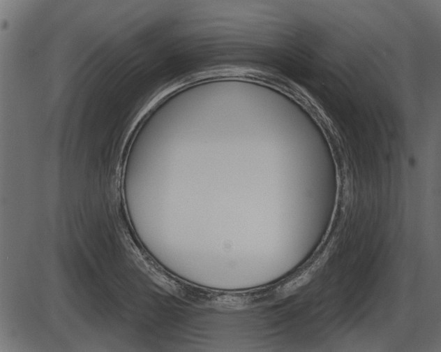 X0000086781178200704130821