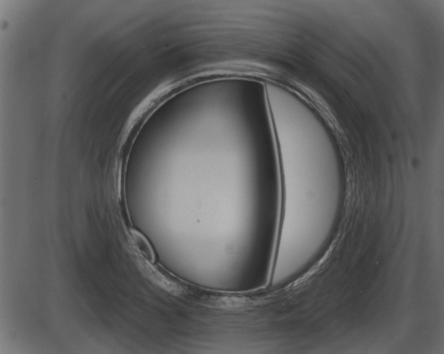 X0000086781180200704130821