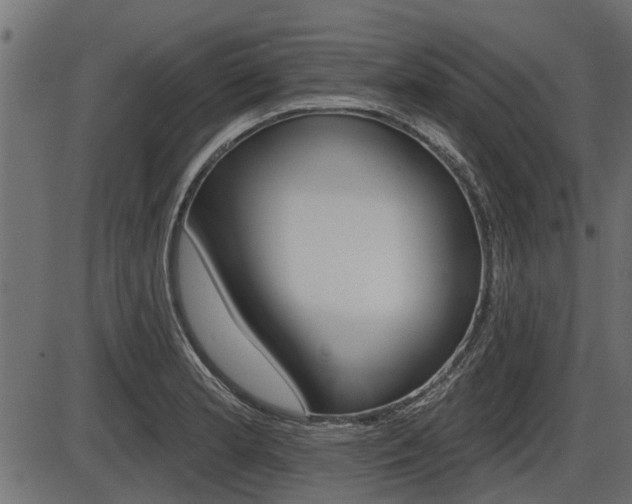 X0000086781181200704130821