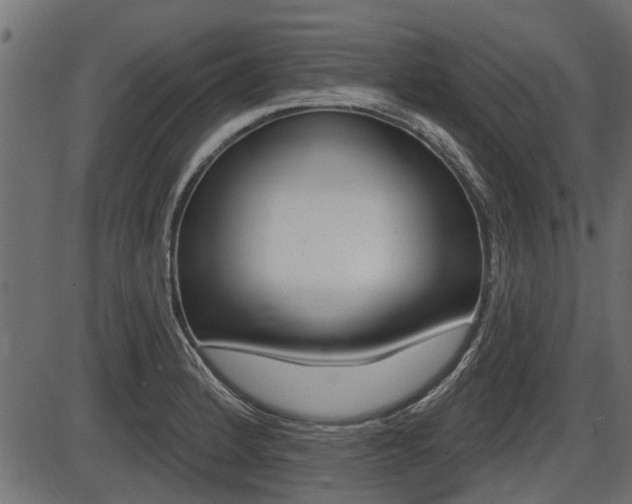 X0000086781184200704130821