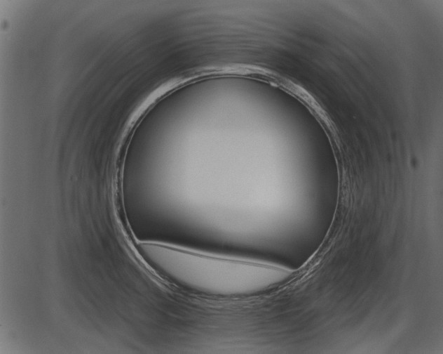 X0000086781187200704130821