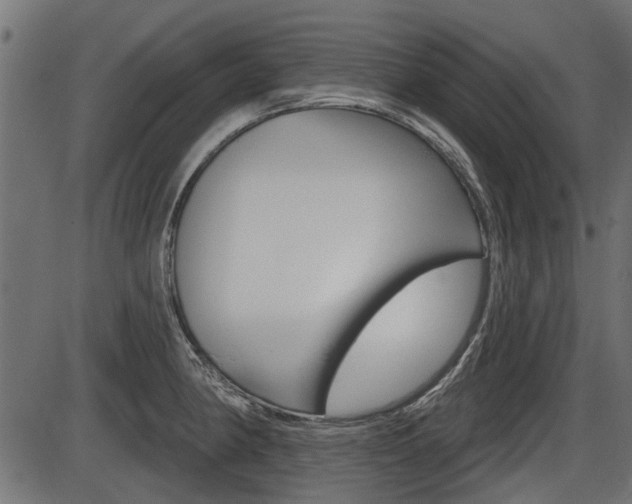 X0000086781190200704130821