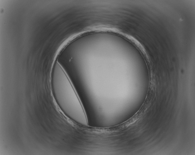 X0000086781191200704130821