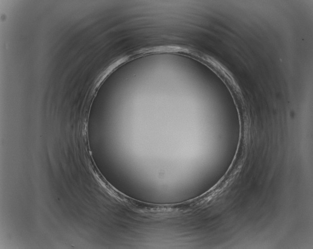 X0000086781193200704130821