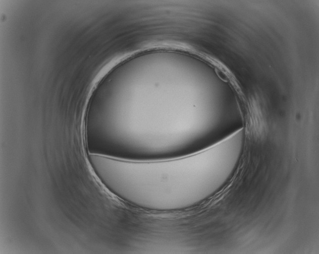 X0000086781199200704130821