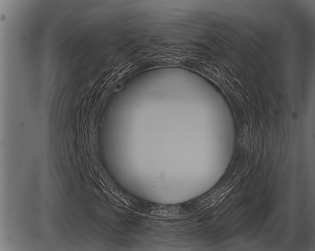 X0000086781201200704130820