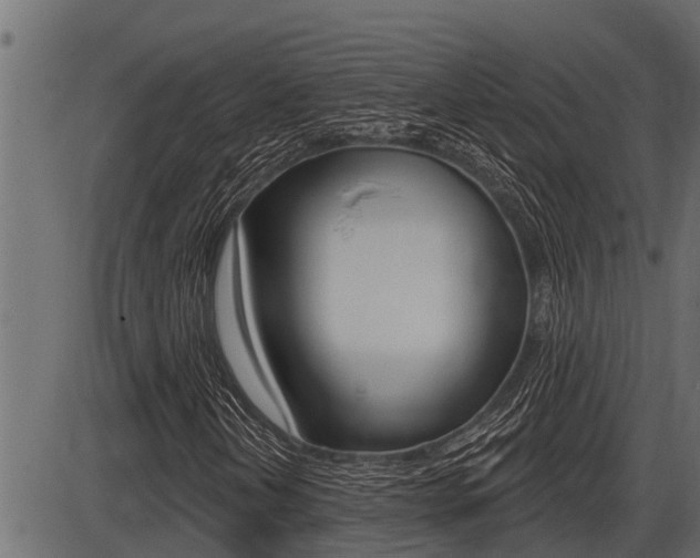 X0000086781202200704130820