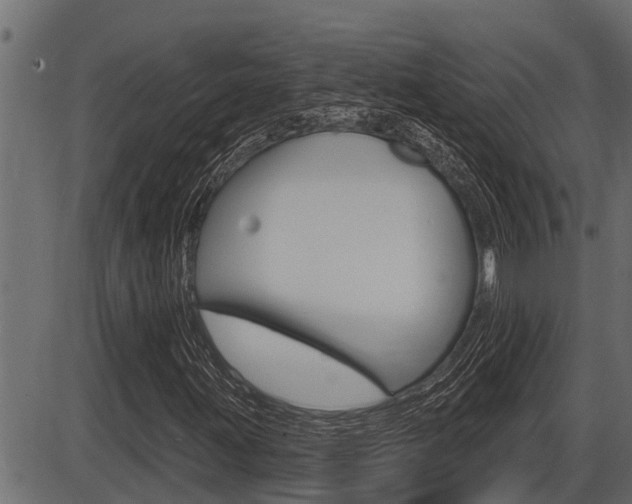 X0000086781203200704130820