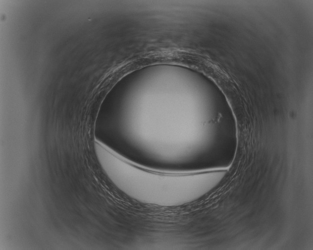 X0000086781206200704130820