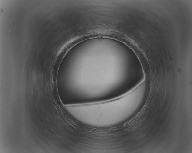 X0000086781214200704130820