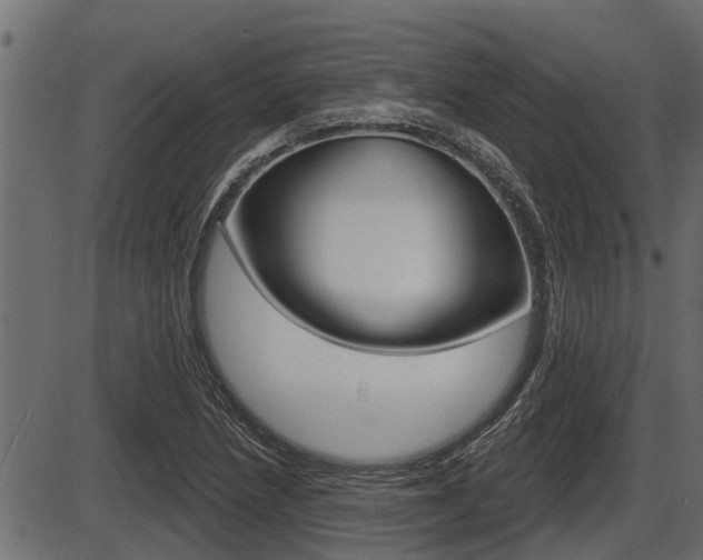 X0000086781218200704130820