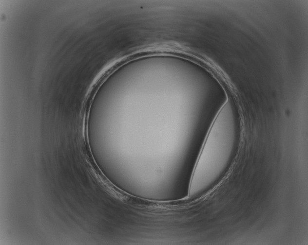 X0000086781224200704130820