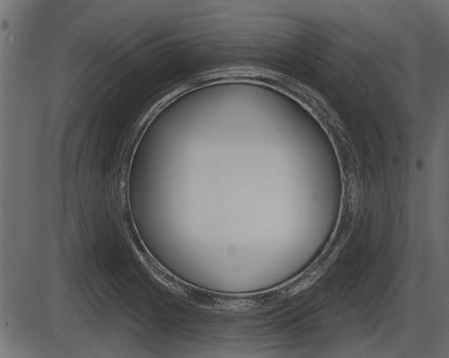 X0000086781225200704130820