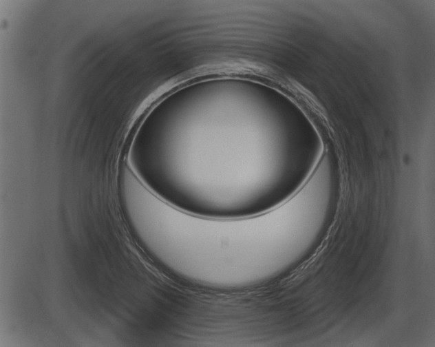 X0000086781226200704130820