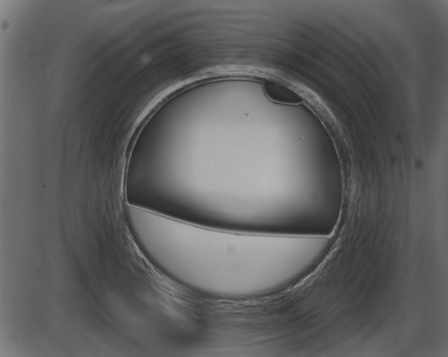 X0000086781228200704130820