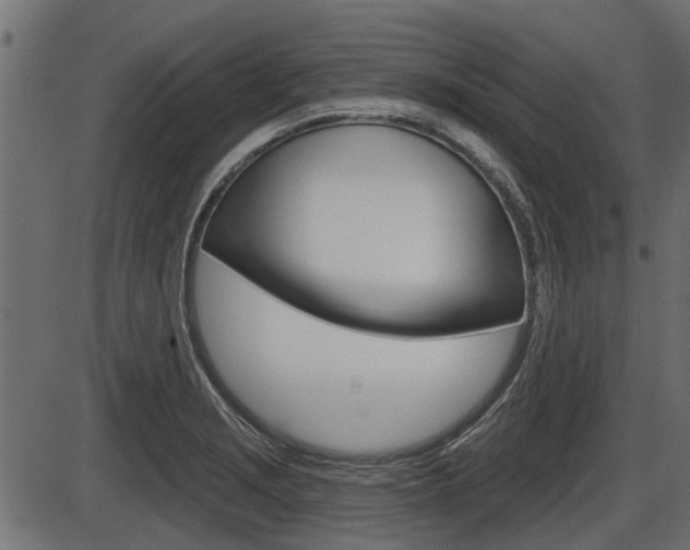 X0000086781229200704130820