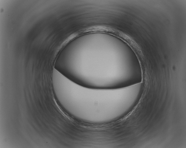 X0000086781233200704130820