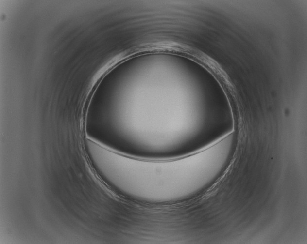 X0000086781234200704130820