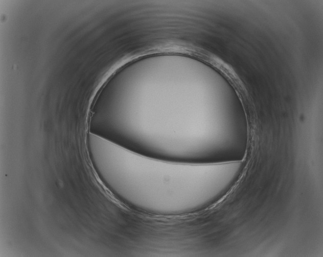 X0000086781236200704130820