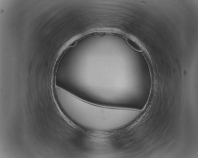 X0000086781237200704130821