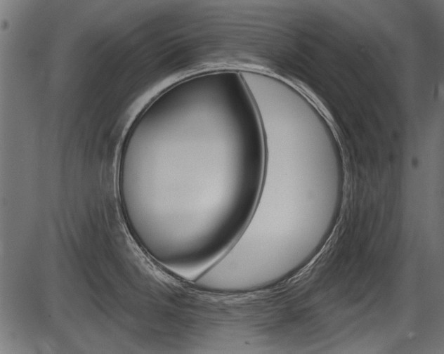 X0000086781246200704130821