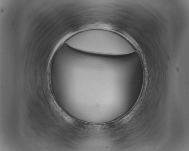 X0000086781248200704130821
