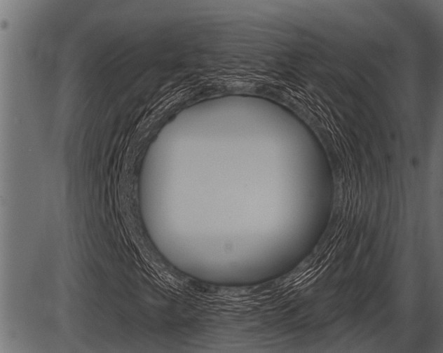 X0000086781249200704130820