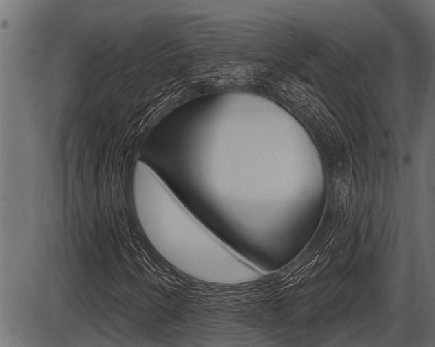 X0000086781250200704130820