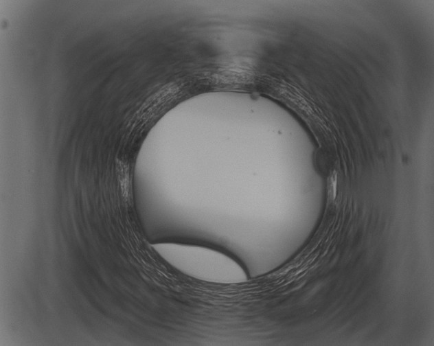 X0000086781251200704130820