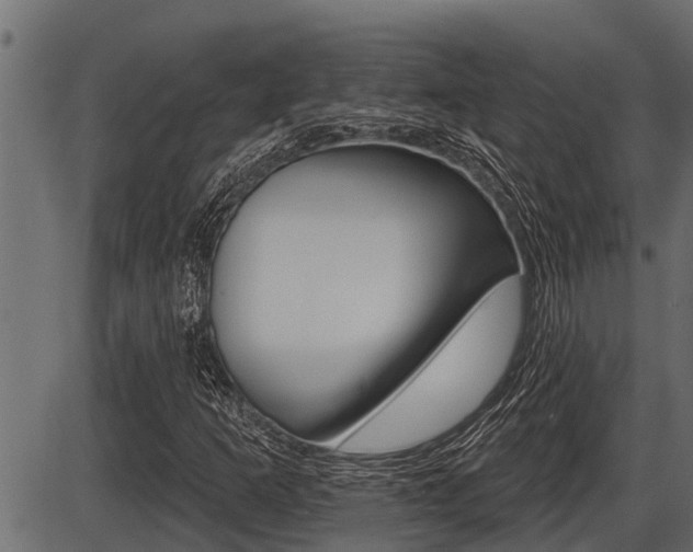 X0000086781253200704130820