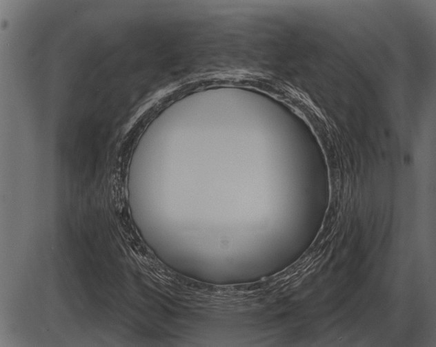 X0000086781256200704130820